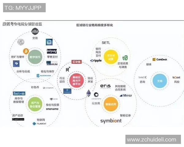 提升个人能力聚焦CSGOTES模型的实践与应用探索